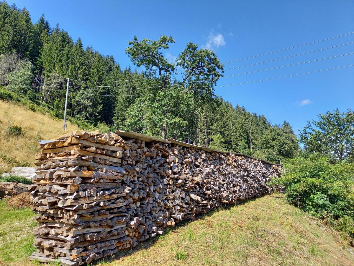 Landhaus Gruenjuwel Himmelberg Eksteriør billede