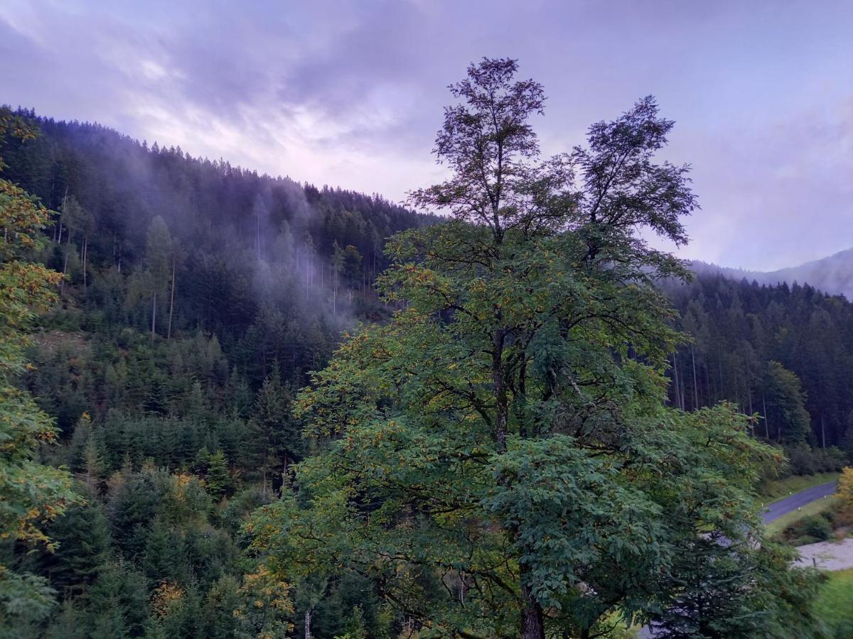 Landhaus Gruenjuwel Himmelberg Eksteriør billede